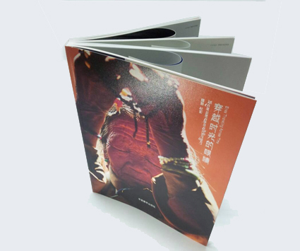 紀(jì)實(shí)目錄冊(cè)