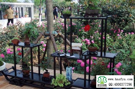 2015 南陽月季展玉雕節(jié)已開幕，花已開好 君可來矣