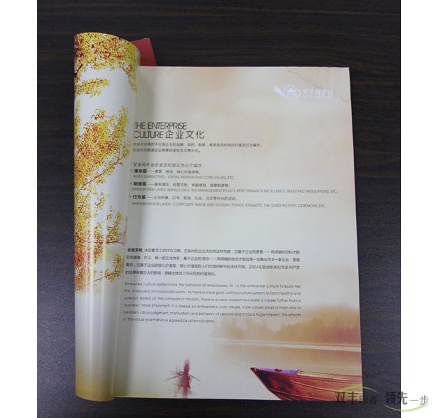 家居行業(yè)產(chǎn)品畫(huà)冊(cè)印刷