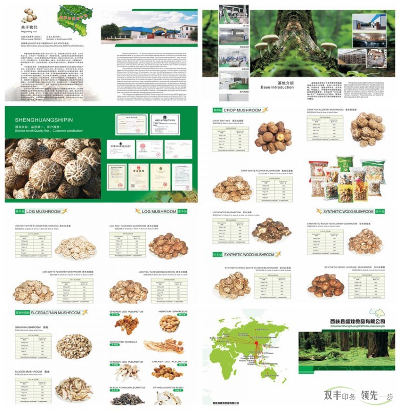 食品企業(yè)產品畫冊印刷盛煌食品食用菌畫冊