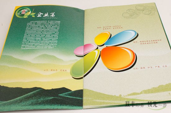 河南印刷廠高檔畫冊(cè)印刷內(nèi)頁用多厚的紙張？